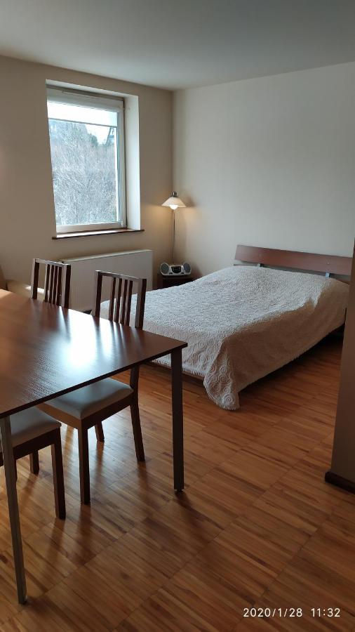 Zawoja1560 Apartamenty Przy Aptece Εξωτερικό φωτογραφία